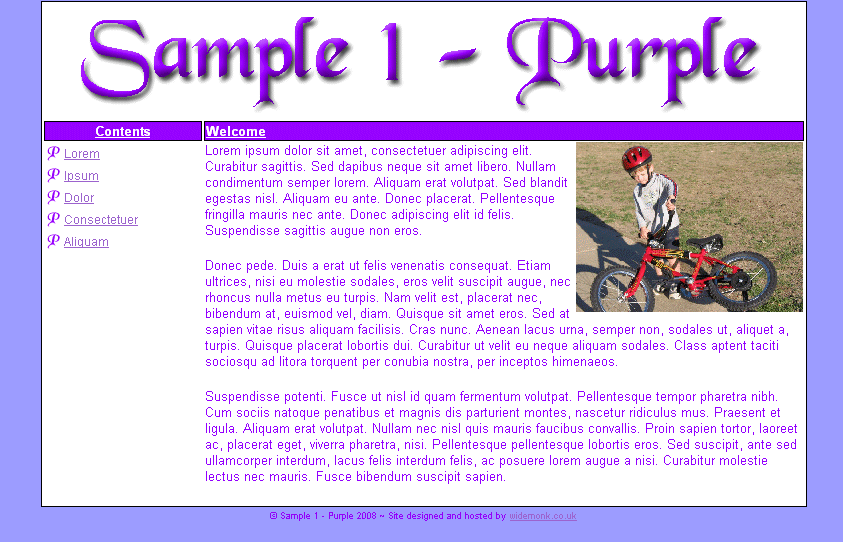 Sample1 - Purple