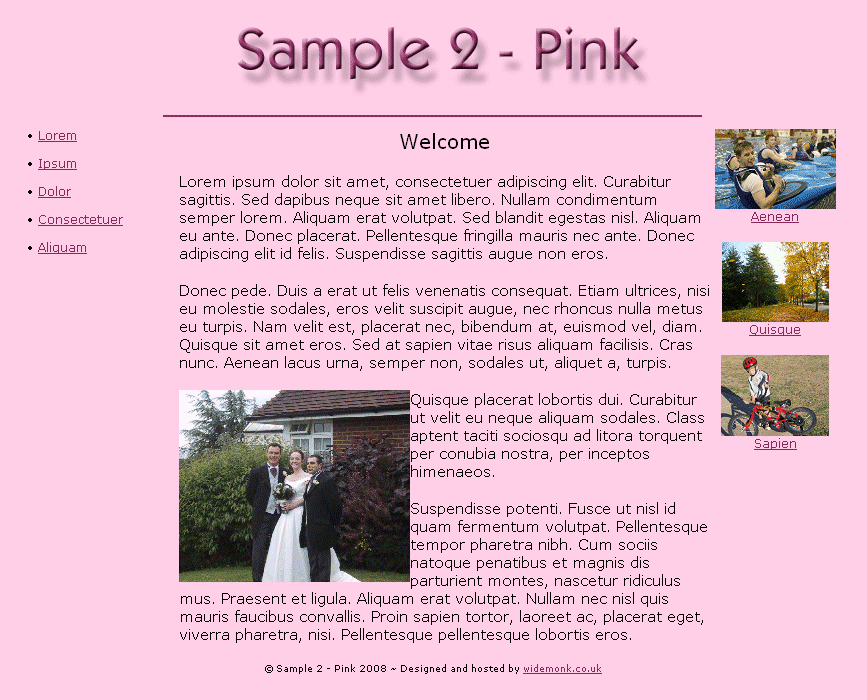 Sample2 - Pink