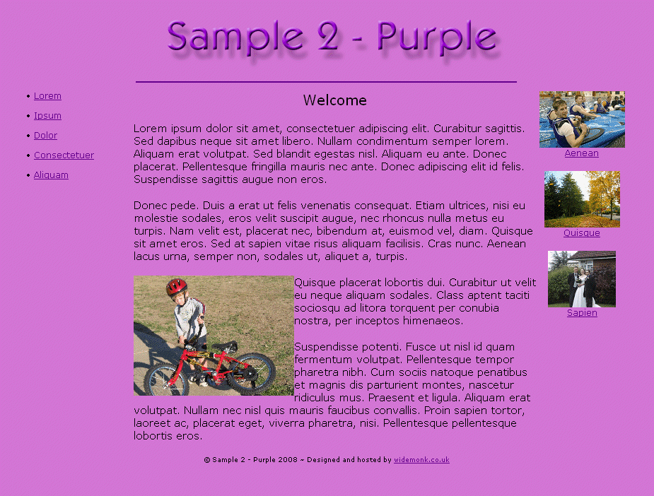 Sample2 - Purple