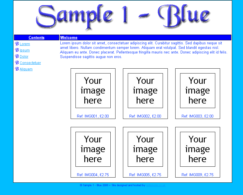 Gallery Sample1 - Blue